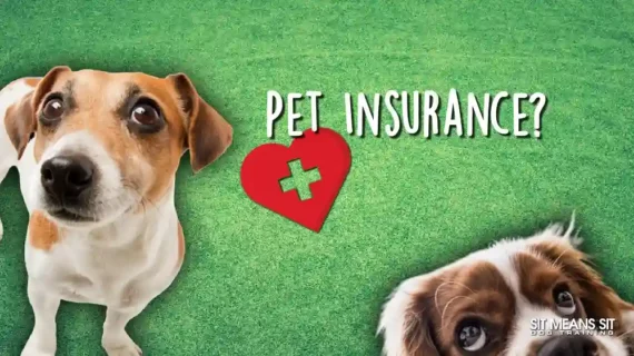 Pet insurance